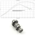 DHM stage 2 camshaft and reflash package